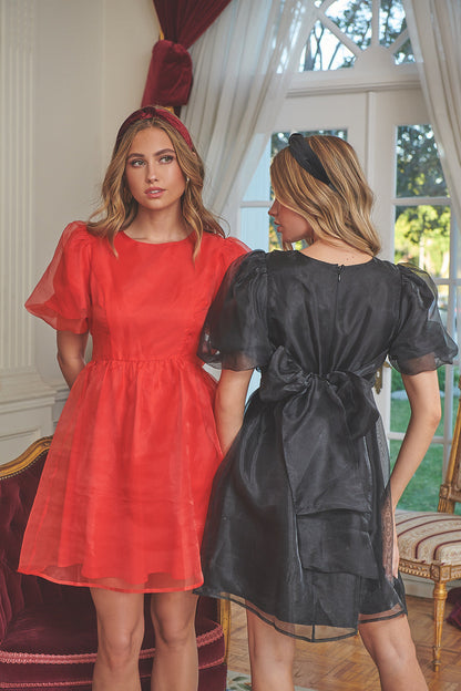 Borza Organza Mini Dress