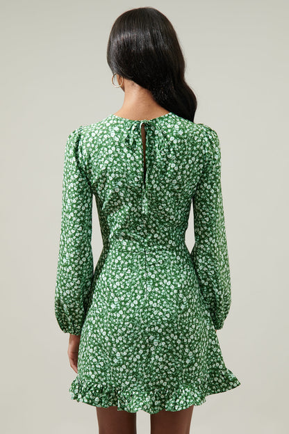 Adieu Floral Ruffle Flounce Mini Dress