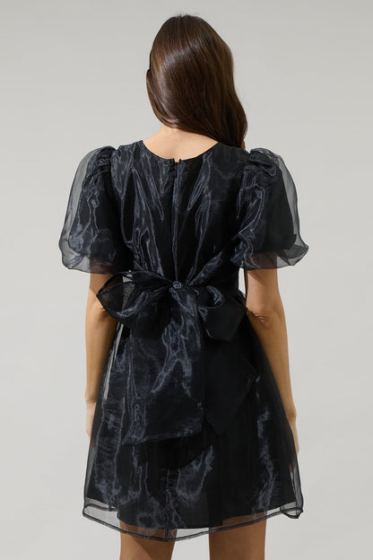 Borza Organza Mini Dress