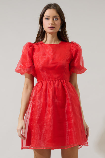 Borza Organza Mini Dress
