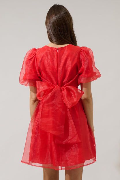 Borza Organza Mini Dress