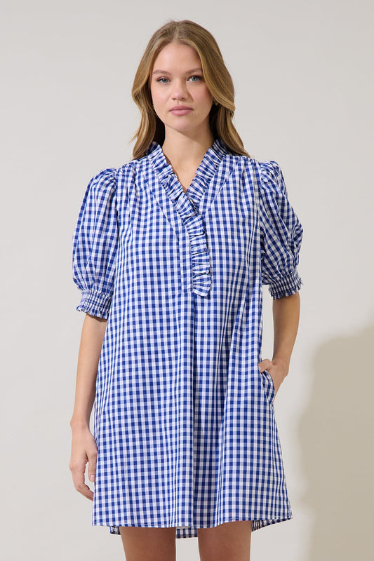 Brisla Gingham Ruffle Mini Dress