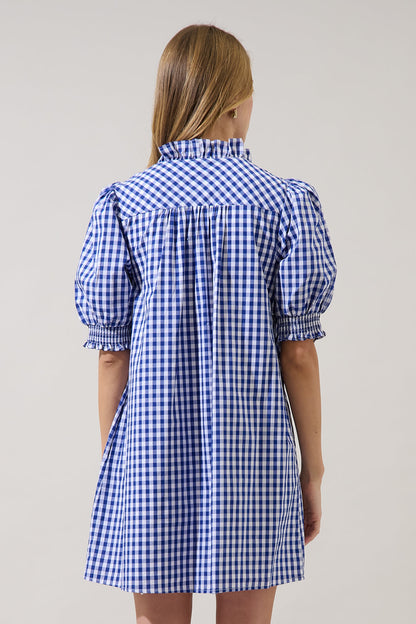 Brisla Gingham Ruffle Mini Dress