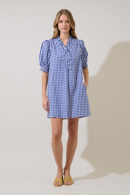 Brisla Gingham Ruffle Mini Dress