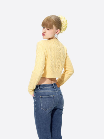Nicolette Denim